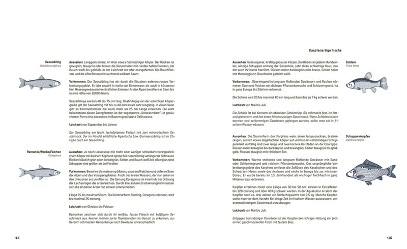 Galerie ausgewählter Arbeiten aus Fisch - echt einfach