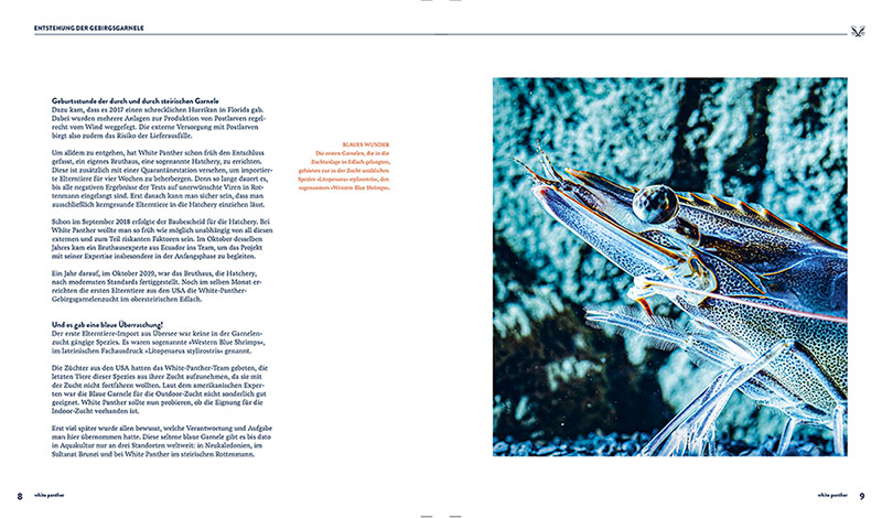 Galerie ausgewählter Arbeiten aus CONEMILL