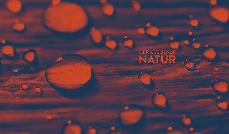 Rubriktitel aus dem Buch