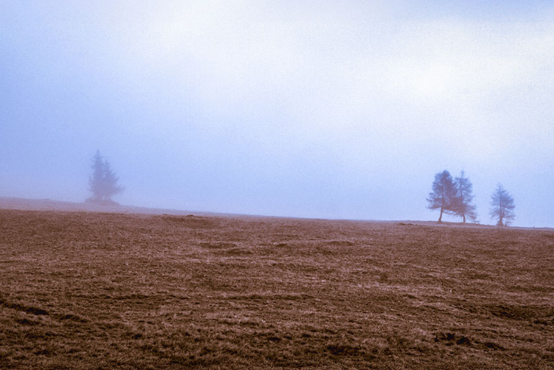 Herbstwetter auf der Alm in Hirschegg